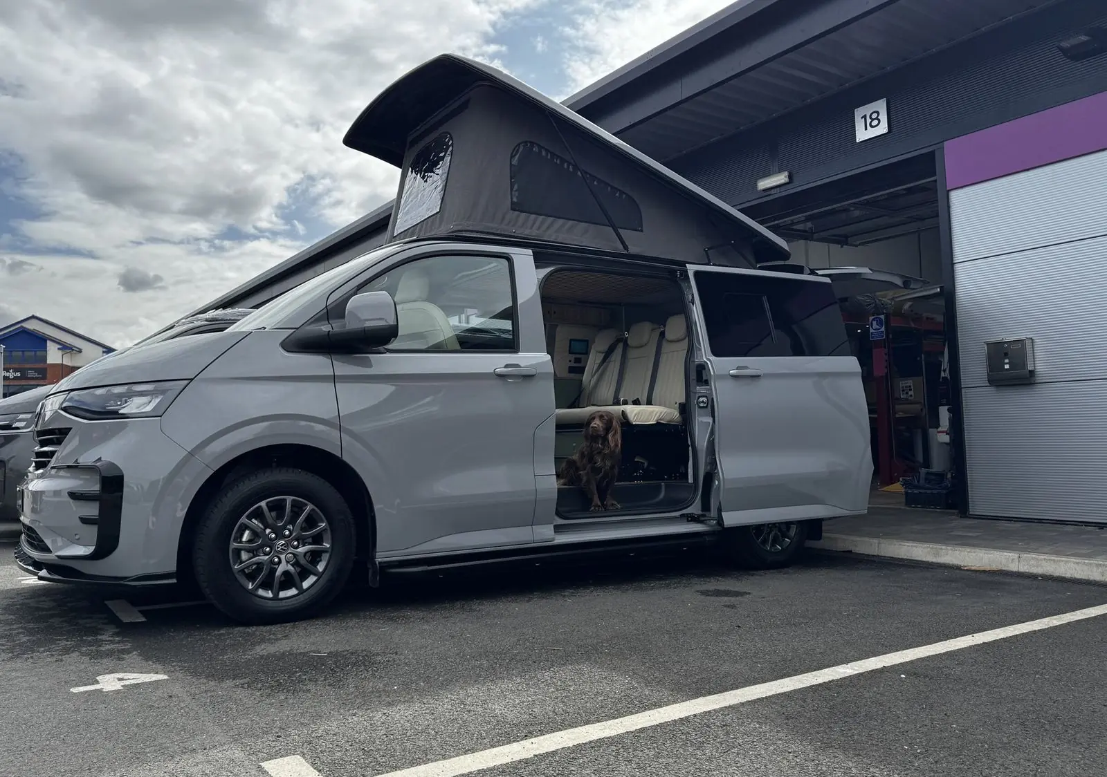 Side view of the light grey campervan with the pop-top raised and the sliding door open, showing the cream rear seats inside and a brown spaniel sitting in the doorway.