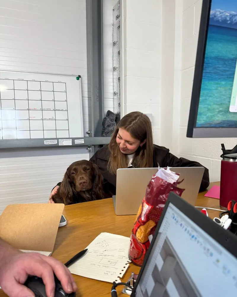 Tilly, Sales + Logistics
